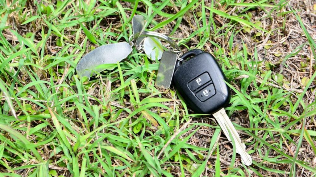 ¿Qué hacer si se me perdió