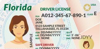 Licencia de conducir en Florida para inmigrantes