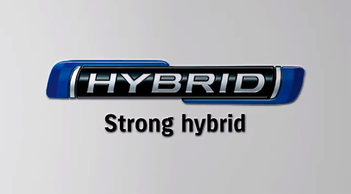 STRONG HYBRID