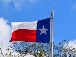 Licencia de conducir para indocumentados en Texas ¿Se puede?