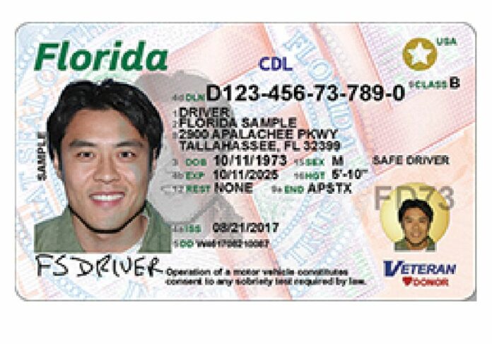 Licencia de conducir en Florida para quienes pidieron asilo político Requisitos y trámites