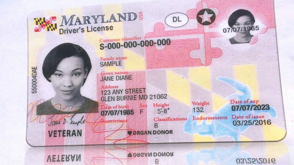 Licencia de conducir para indocumentados en Maryland Gossip Vehiculos