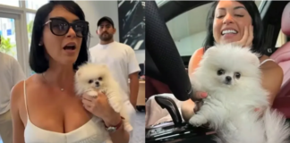 INFLUENCER CUBANA