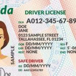 Cómo renovar licencia de conducir en Florida
