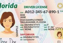 Cómo renovar licencia de conducir en Florida