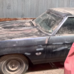 Clásico Chevrolet Chevelle LS6 454 de 1970 hallado en granero