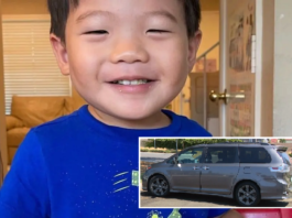 Rescatan a niño de 2 años secuestrado en minivan robada en California