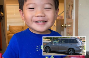 Rescatan a niño de 2 años secuestrado en minivan robada en California