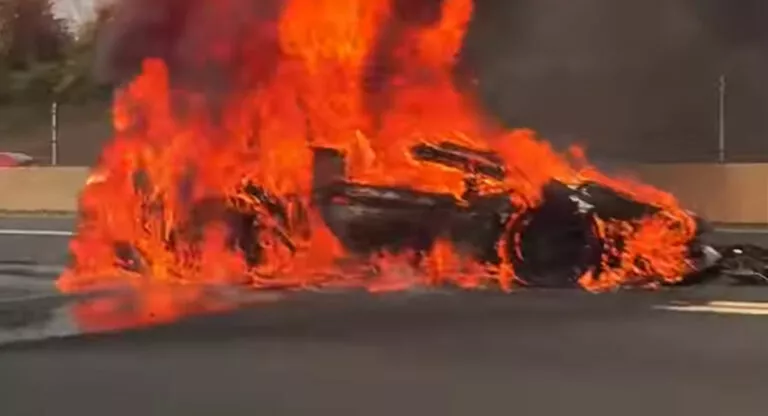Este Lamborghini Aventador SVJ rosa y cromado se prendió fuego tras  estrellarse (+VIDEO) - Gossip Vehiculos