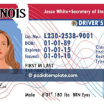 Licencia de conducir para indocumentados en Illinois