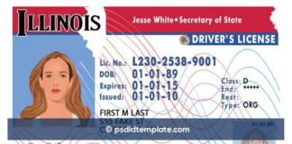Licencia de conducir para indocumentados en Illinois