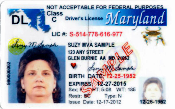 Licencia de conducir para indocumentados en Maryland