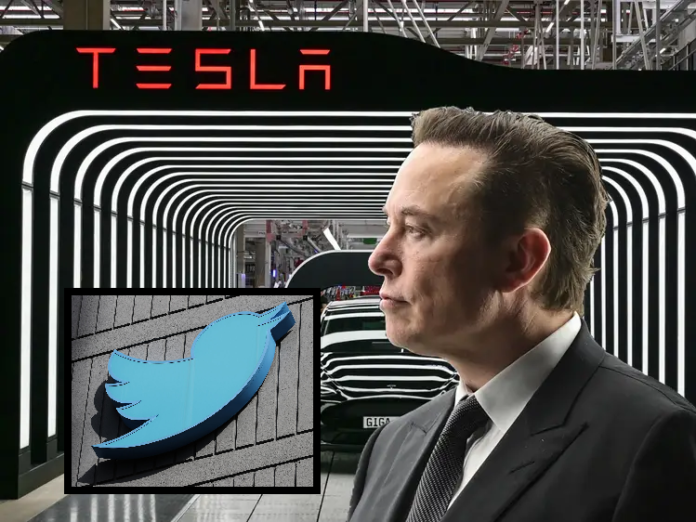 Radicales decisiones de propietarios de autos Tesla