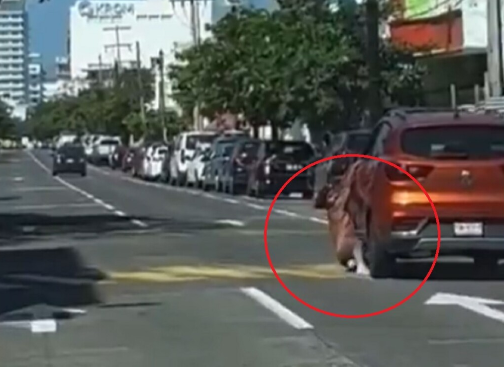 Video de un hombre desnudo colgado de un auto