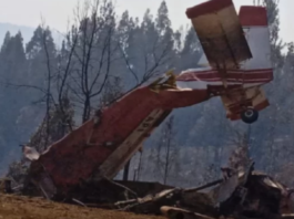 Avión de Conaf se desplomó en Hualqui