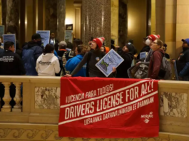 Inmigrantes indocumentados podrán tener licencias de conducir en Minnesota