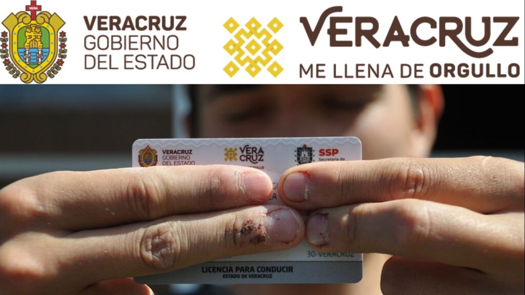 Los Requisitos Para Tramitar La Licencia De Conducir En Veracruz Gossip Vehiculos