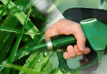 Ventajas y desventajas del Bioetanol