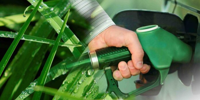 Ventajas y desventajas del Bioetanol