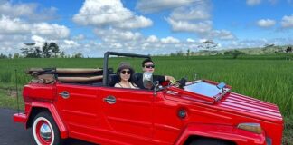 Volkswagen Tipo 181 (Safari): Fallas Comunes y Puntos Débiles