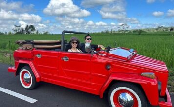 Volkswagen Tipo 181 (Safari): Fallas Comunes y Puntos Débiles